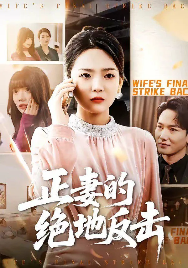 正妻的绝地反击片尾曲