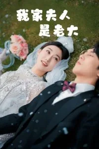 我家夫人是老大免费阅读