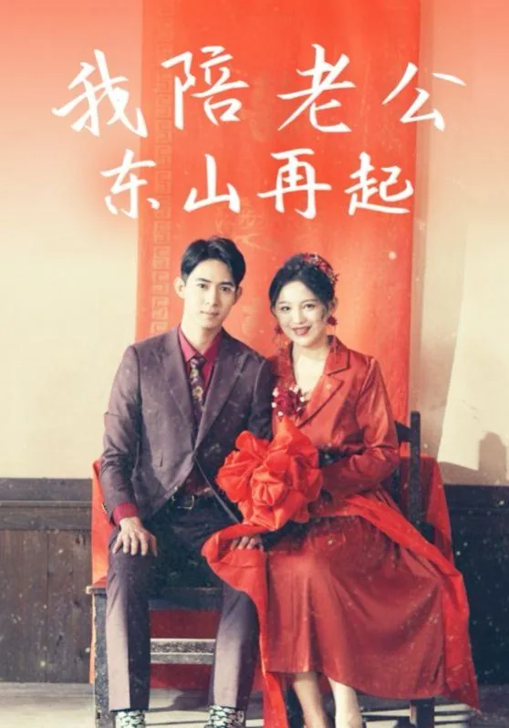 我陪老公东山再起全集免费观看
