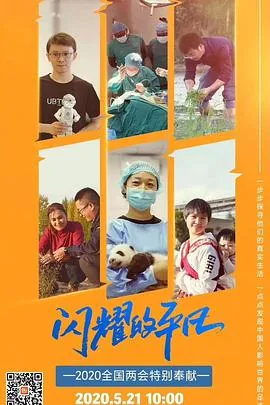 闪耀的平凡2
