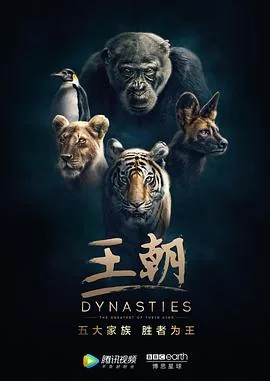 王朝 第一季 纪录片