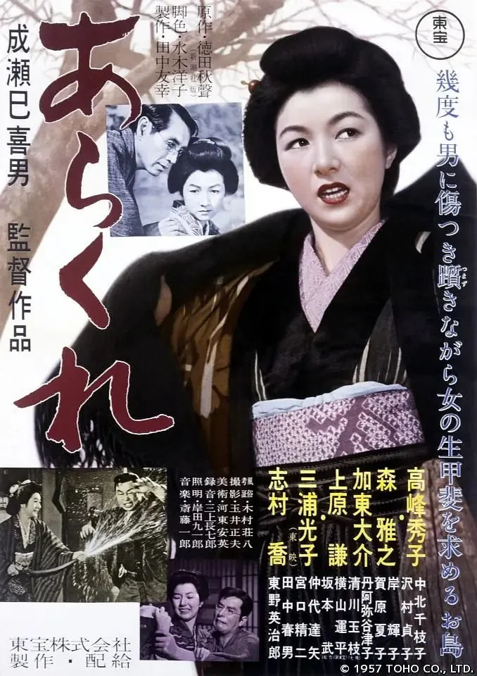 野性的女人指的是什么动物