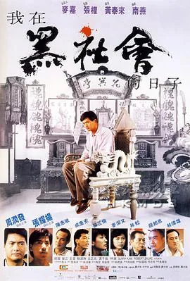 我在黑社会的日子录像带