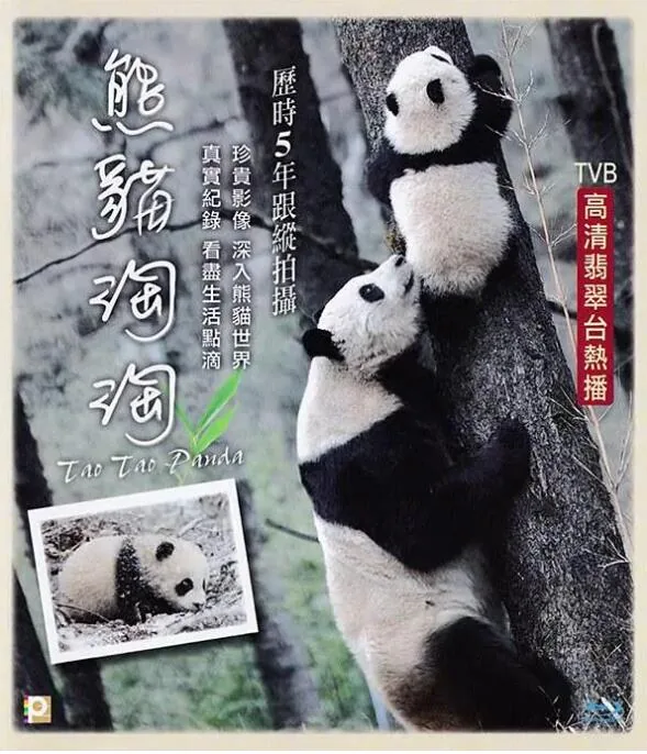 熊猫淘淘的故事英文版本