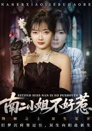 南家二小姐的小说