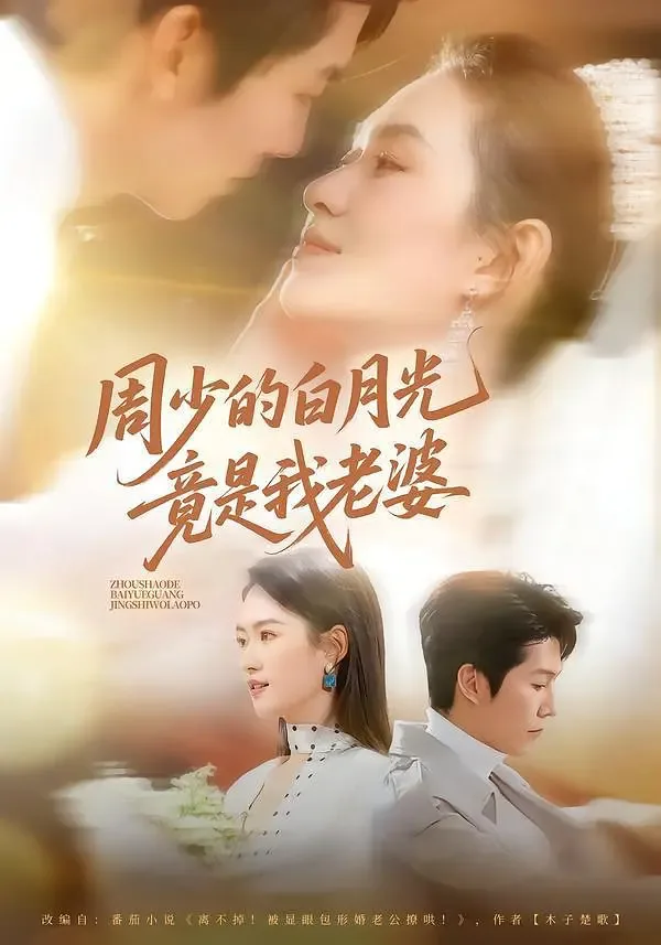 周少白是谁