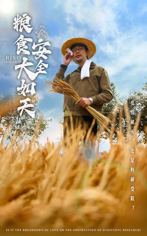 粮食安全解读