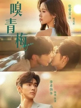 嗅青梅陈漾原著小说