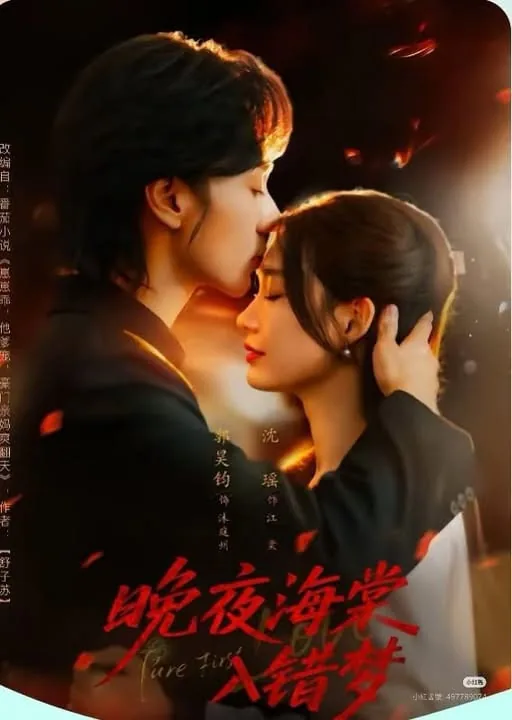 晚夜海棠入错梦无删减版