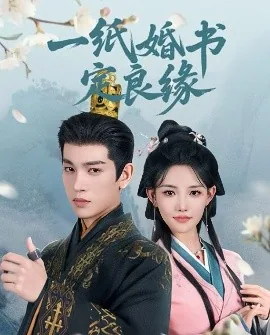 一纸婚书好看吗