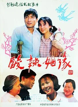 酸辣姻缘免费观看全部