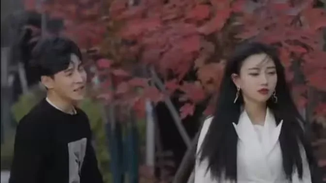 绝品医婿叶凡完整版