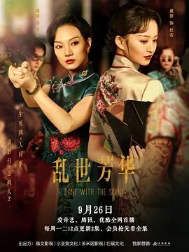 乱世芳华小说苏四公子
