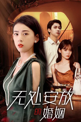 无处安放的婚姻免费阅读
