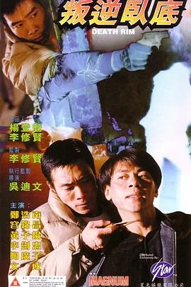 叛逆卧底阿南的老婆叫什么