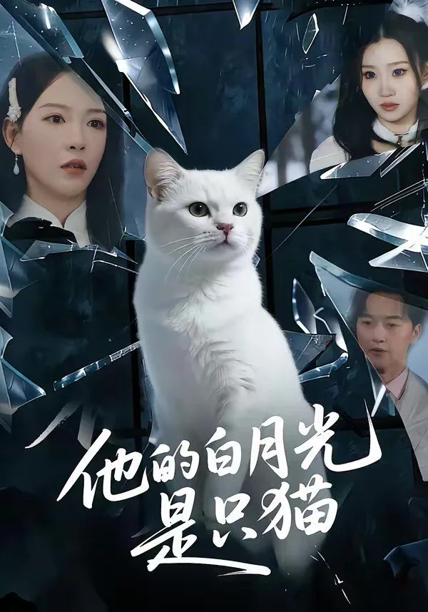 他的白月光是只猫的小说