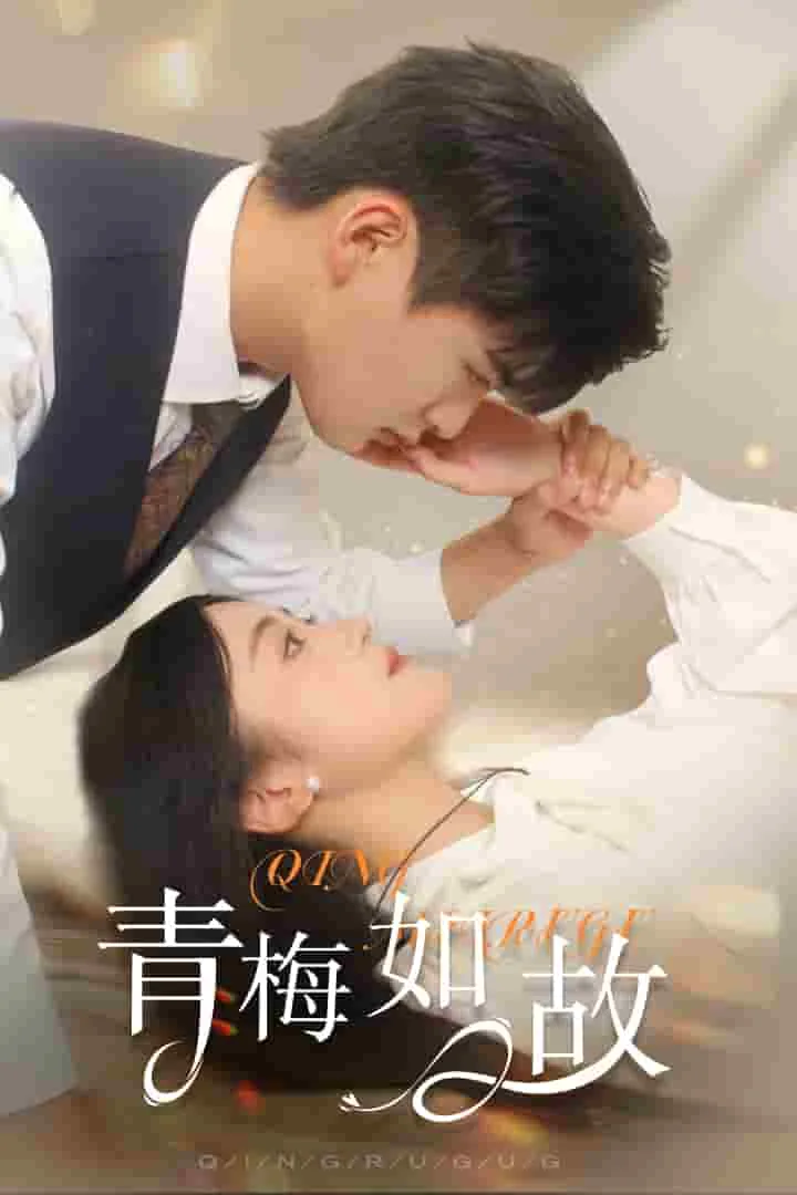 青梅如何去核