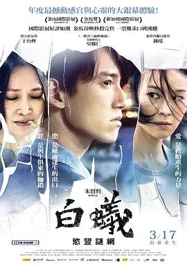 白蚁欲望谜网讲的什么