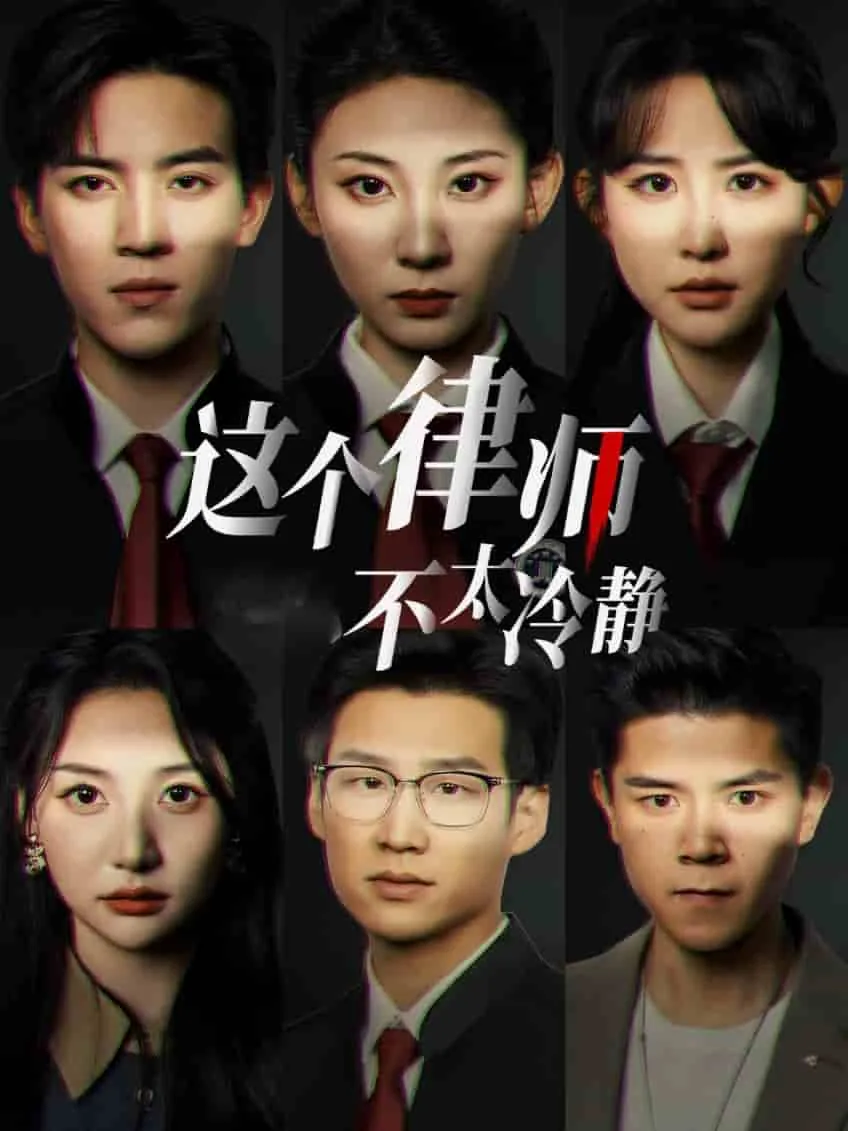 这个律师不太冷静大结局