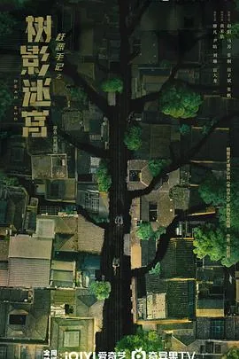 树影迷宫什么时候上映电视剧