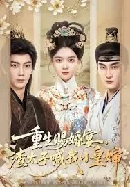 重生赐婚宴,渣太子喊我小皇婶百度网盘