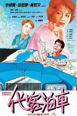 代客泊车啥意思