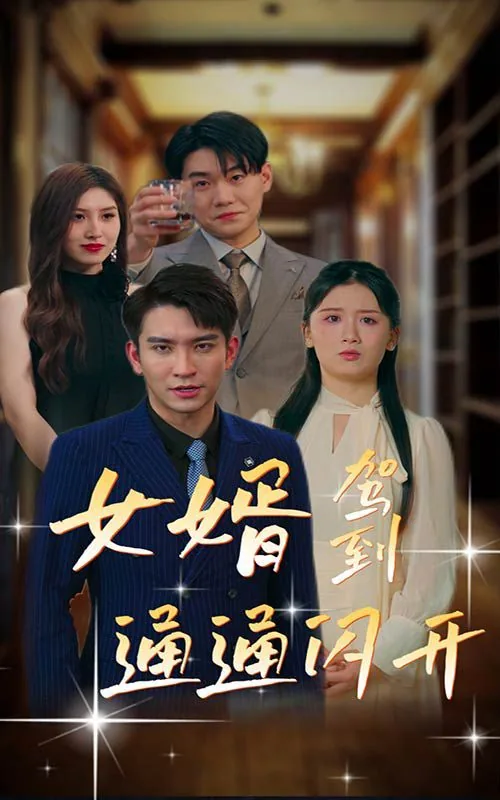 女婿驾到通通闪开动漫