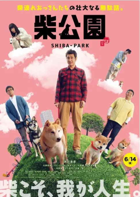 柴犬公园在线播放