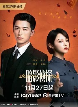 暗影侦探杨晓林的真实身份