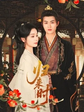 归来是少年