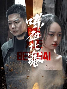 喋血北寨电视剧