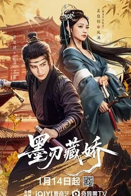 墨刃藏娇电视剧演员表