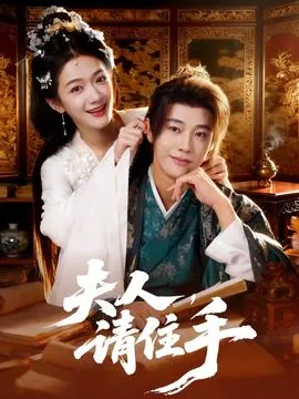 夫人请住手txt电子书百度云