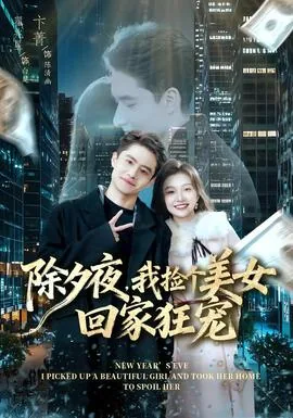 除夕夜,我捡个美女回家狂宠百度网盘