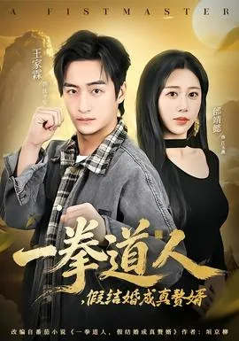 一拳道人,假结婚成真赘婿短剧大结局
