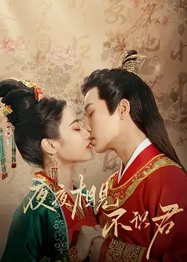 夜夜相见不识君电视剧免费观看全集