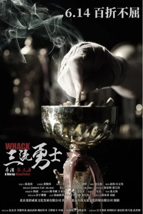 三流勇士豆瓣评分