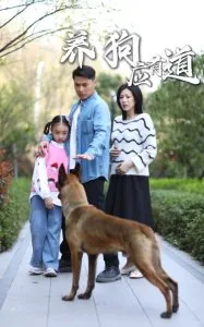 养狗应有道短剧热播