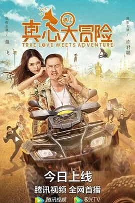 真心遇上大冒险在线观看电影免费