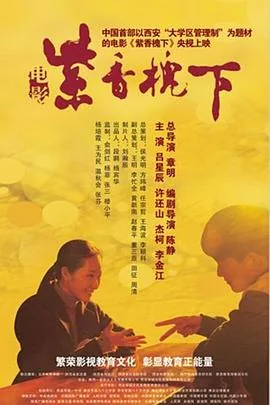 紫香槐之声