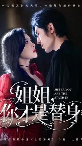 姐姐你才是替身哦小说