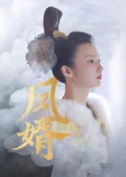 凤婿小说