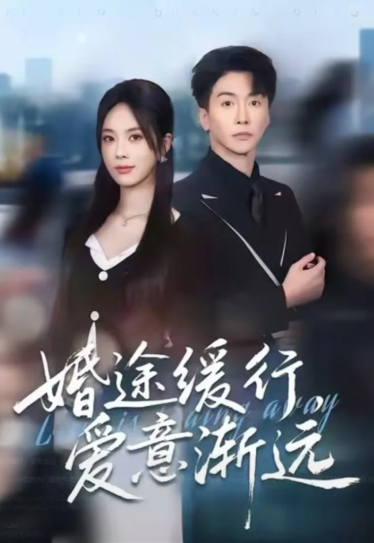婚途缓行,爱意渐远在线阅读