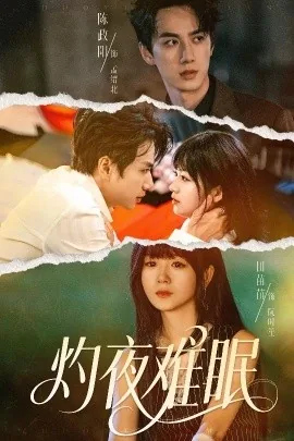 灼夜难眠全集
