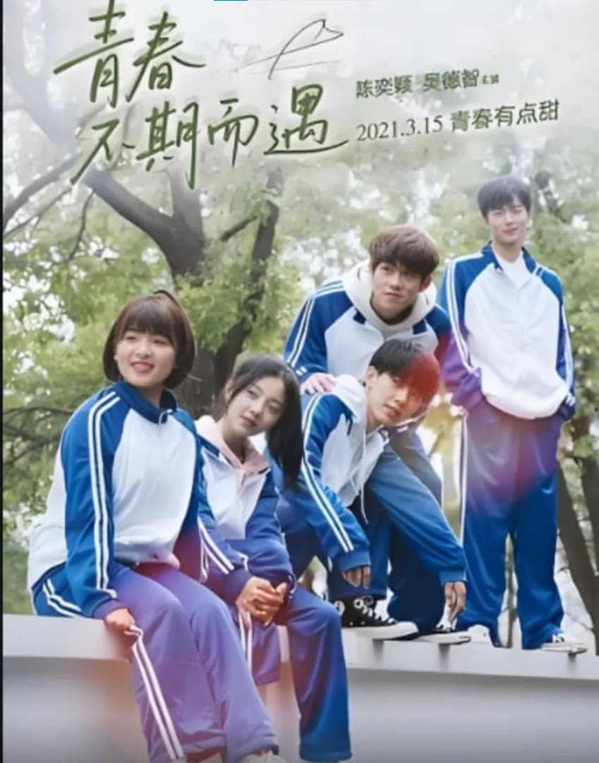 青春不期而遇电视剧免费观看