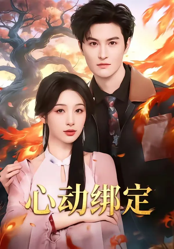 心动账号
