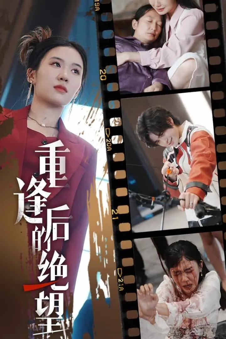 重逢后的绝望作文