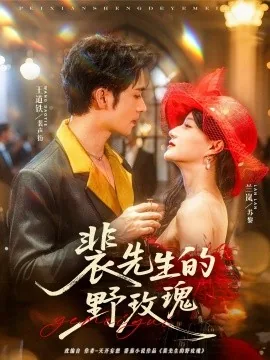 裴先生的野玫瑰裴声衍苏黎