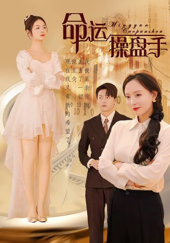 命运操盘手小说