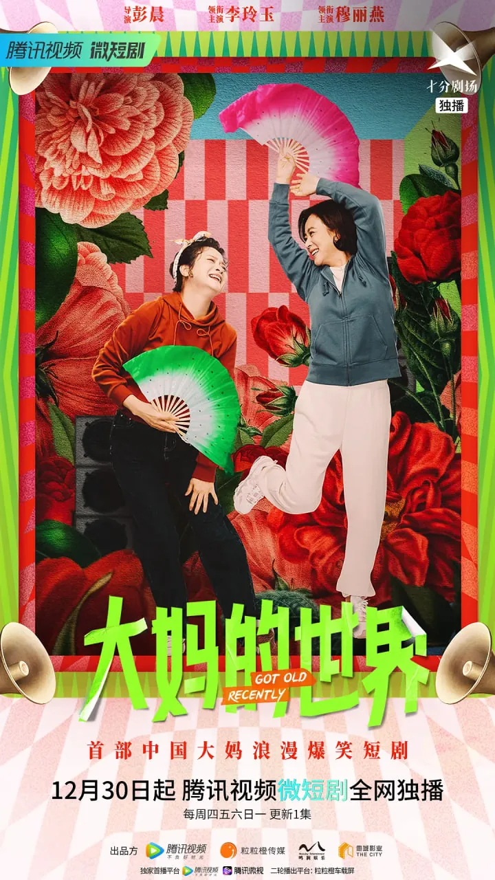 大妈的世界内容简介